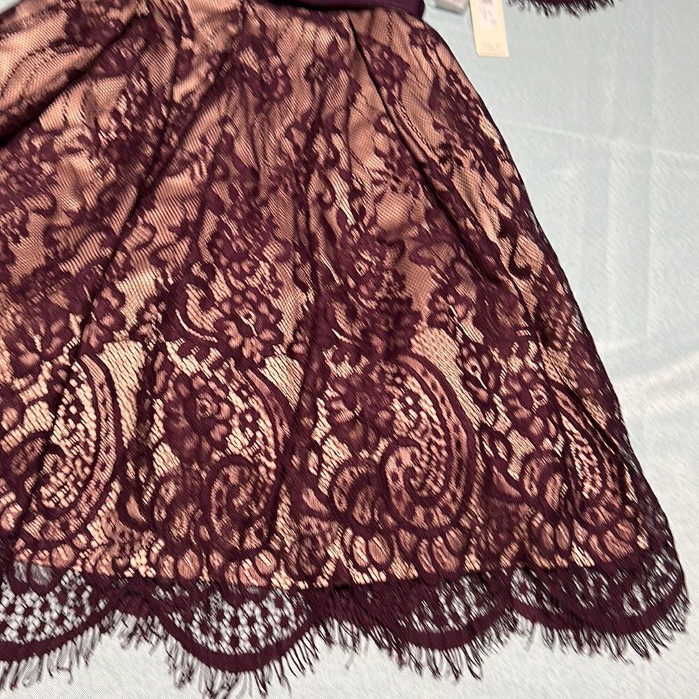Eliza J. Lace Plum Cocktail Dress Size 6‎ D41 - Picture 4 of 13